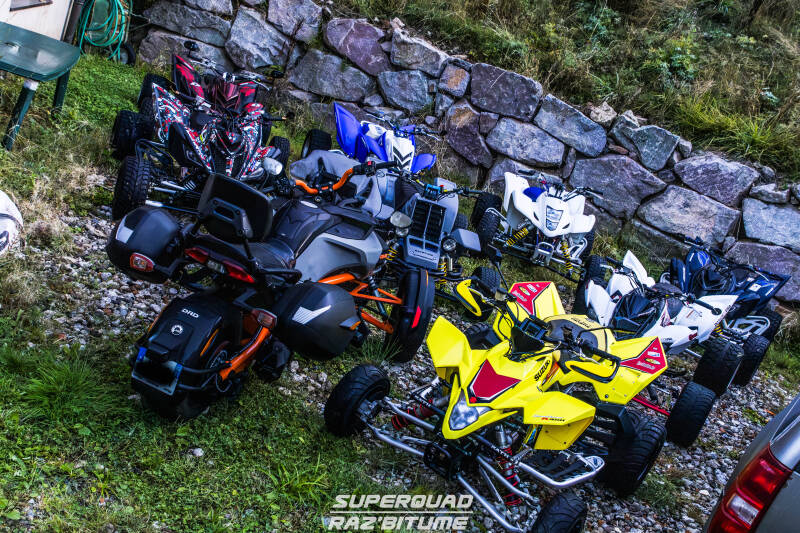 img_6649-standard.jpg