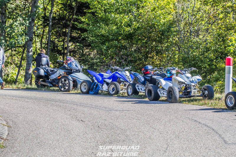 img_6686-standard.jpg