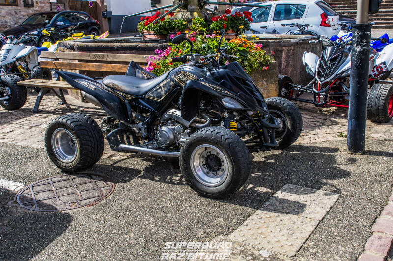 img_6729-standard.jpg