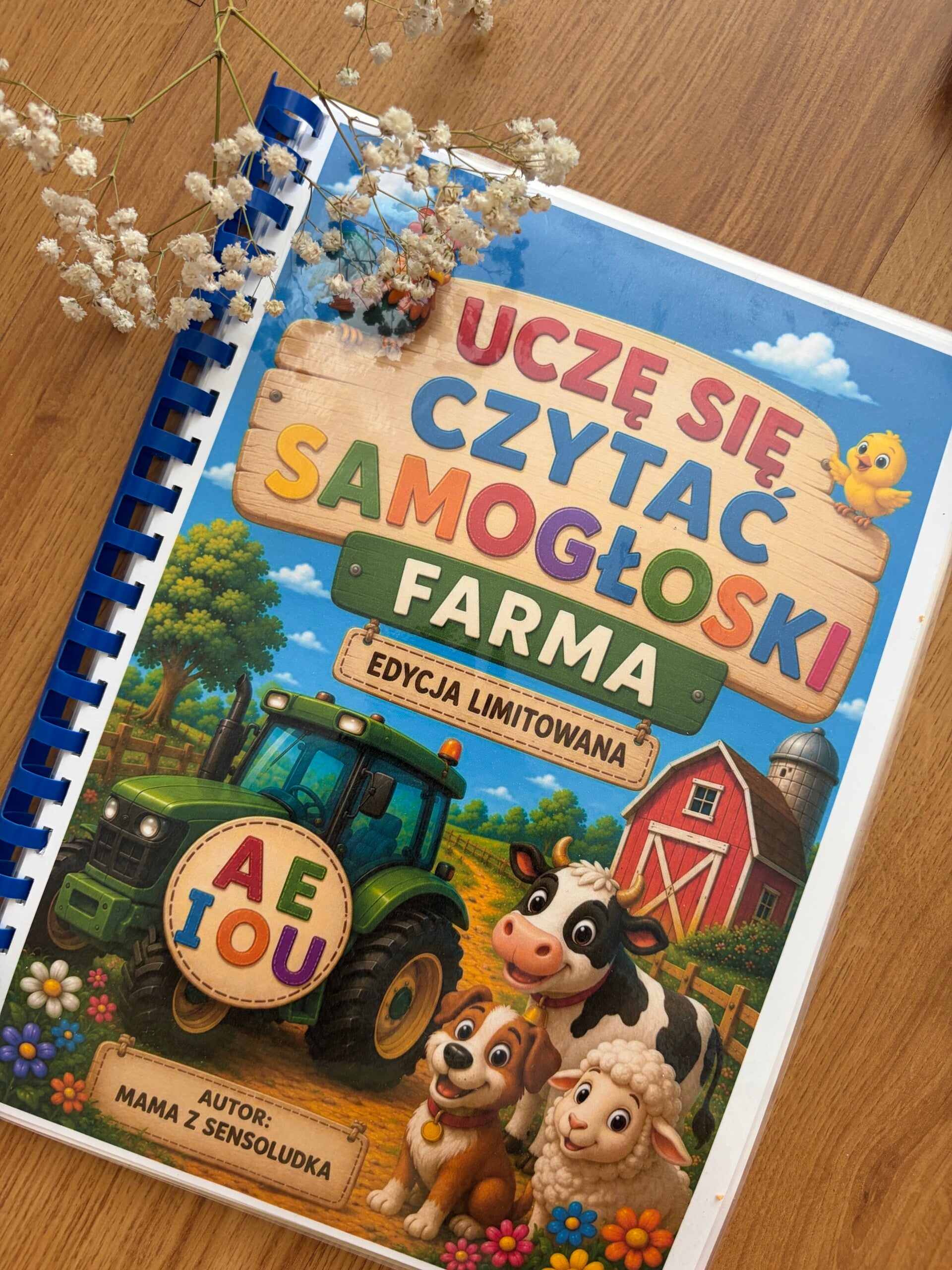 UCZĘ SIĘ CZYTAĆ SAMOGŁOSKI - FARMA