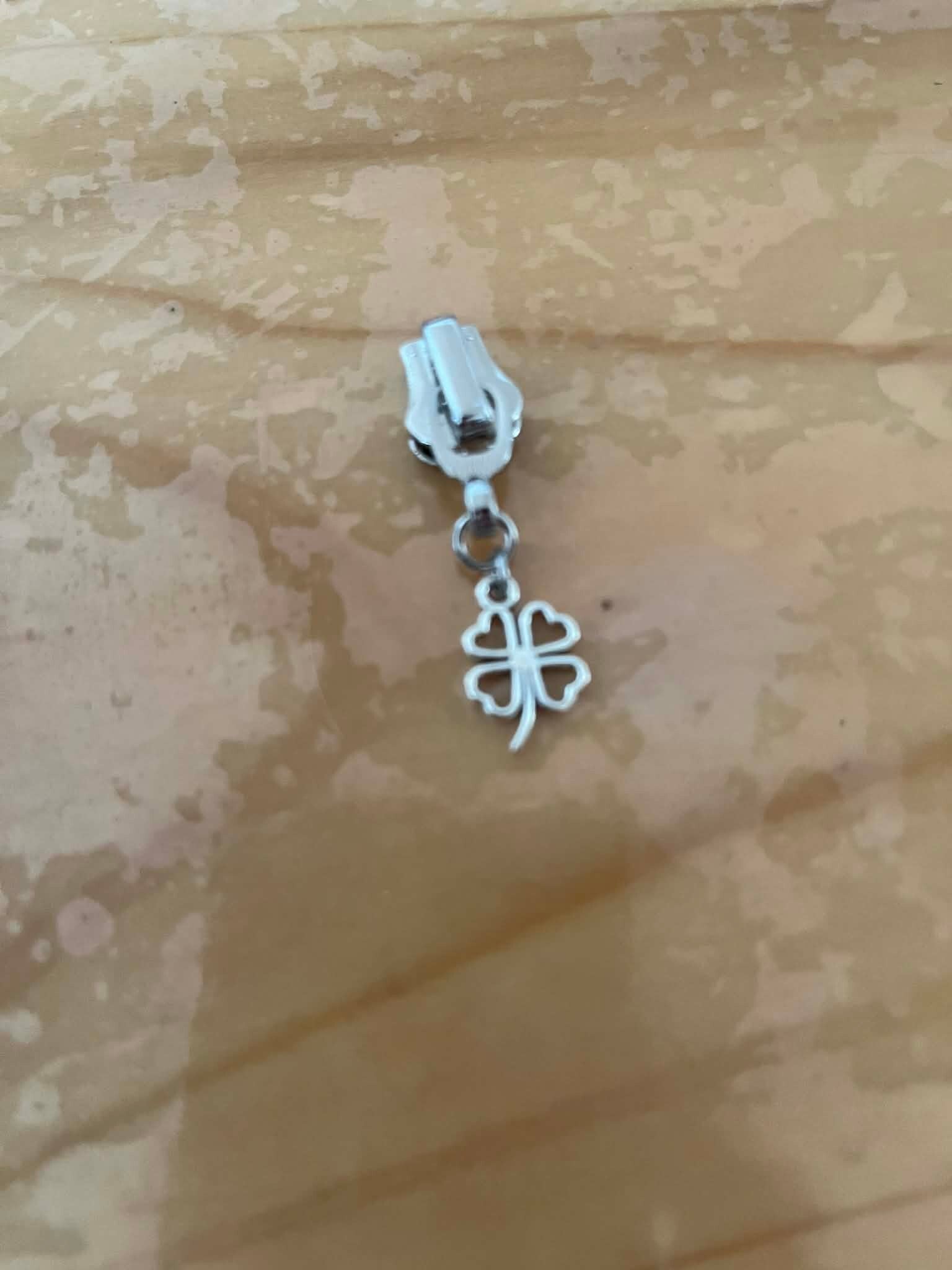 RITSTREKKERS ZILVER