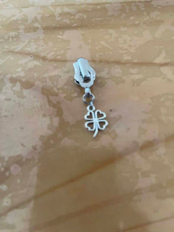 RITSTREKKERS ZILVER