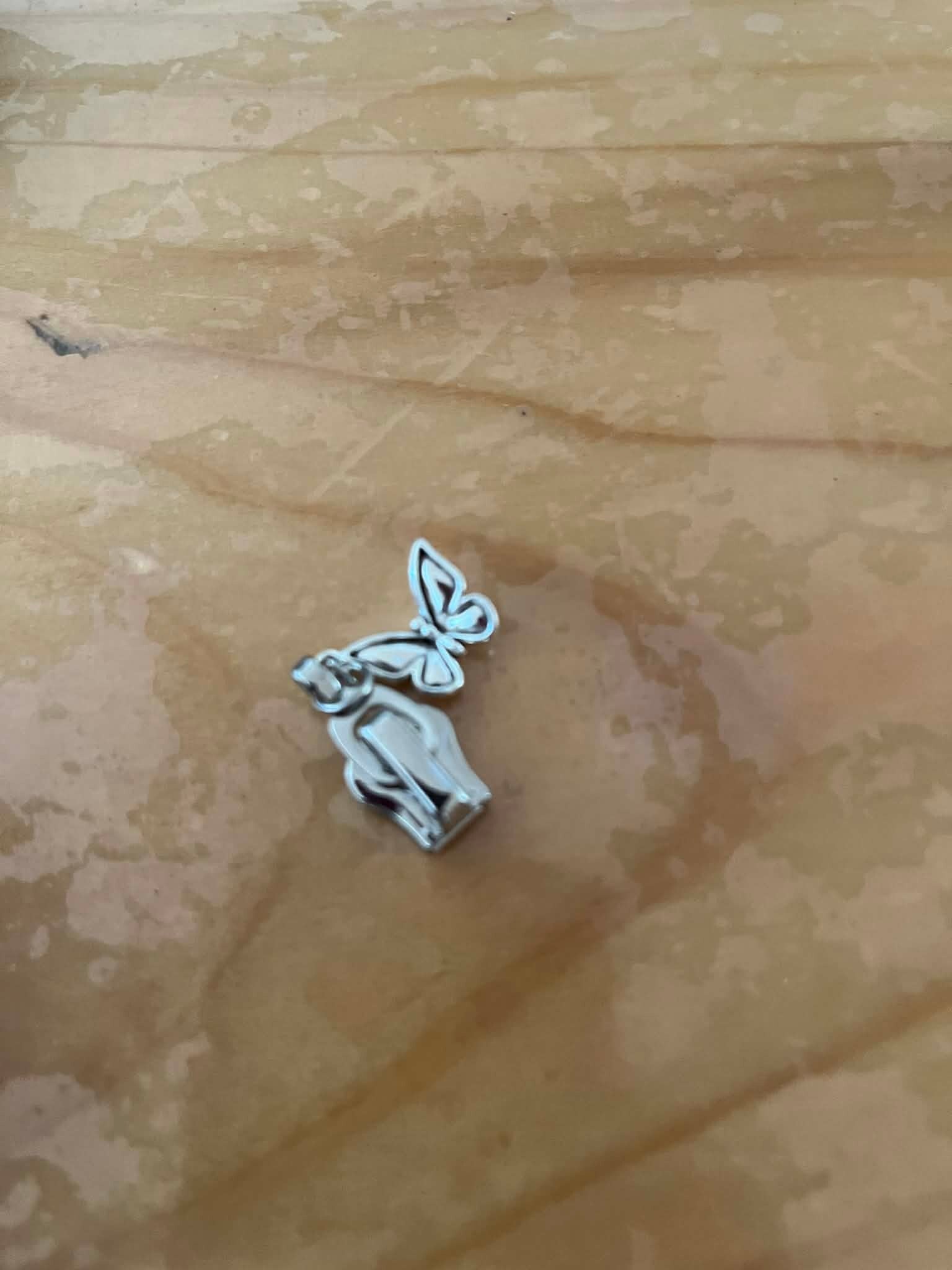 RITSTREKKERS ZILVER