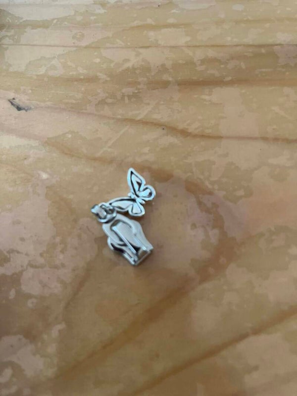 RITSTREKKERS ZILVER