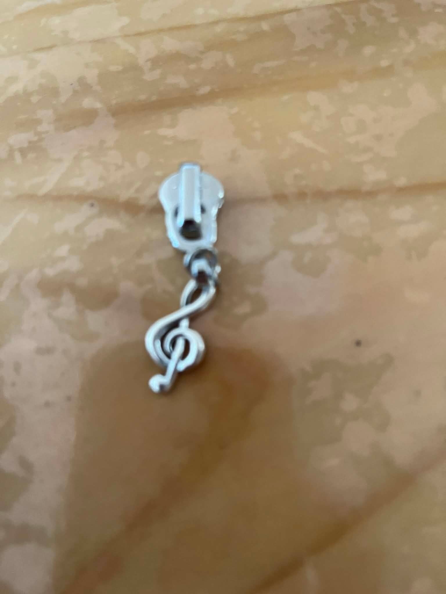 RITSTREKKERS ZILVER