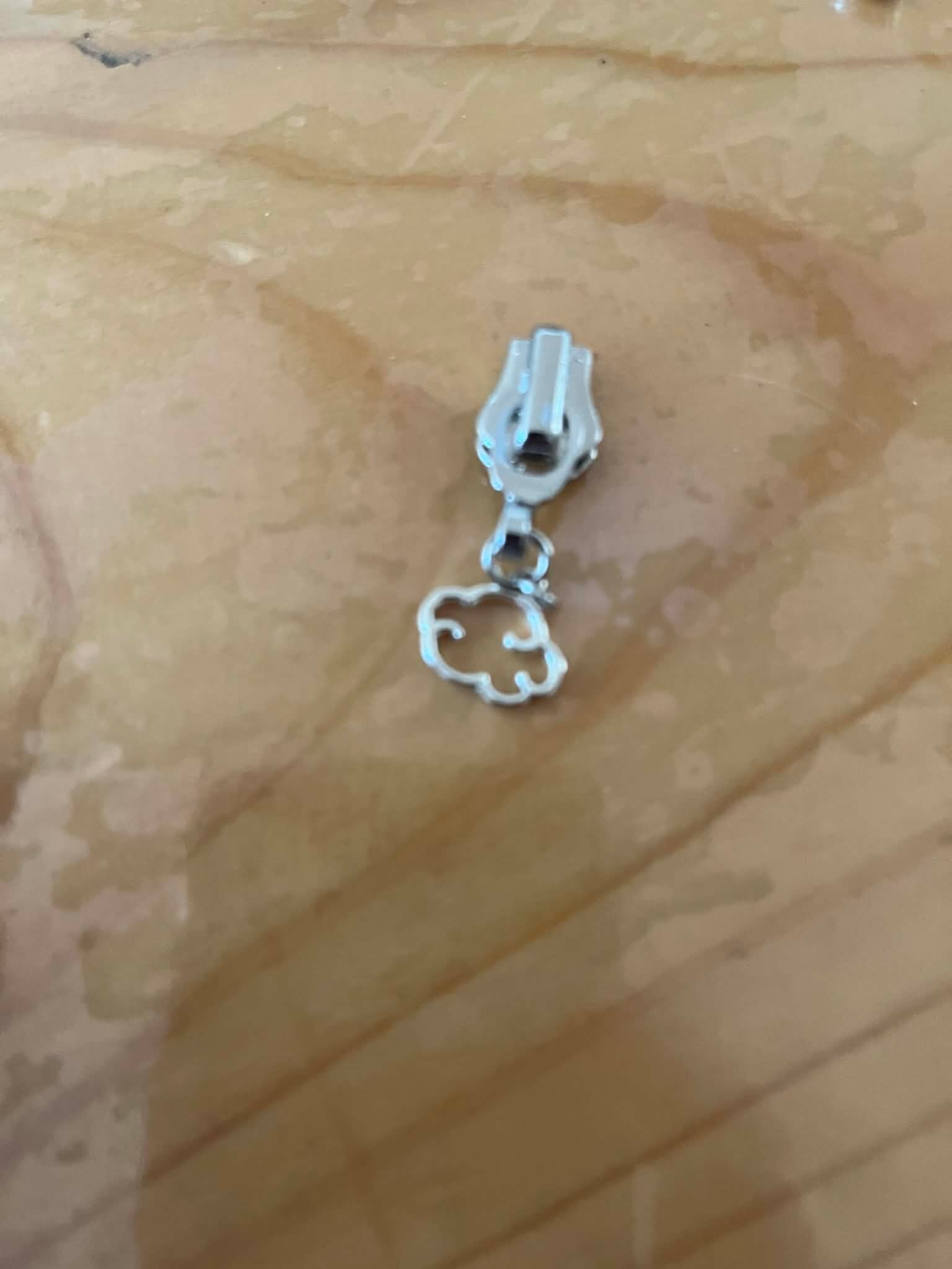 RITSTREKKERS ZILVER