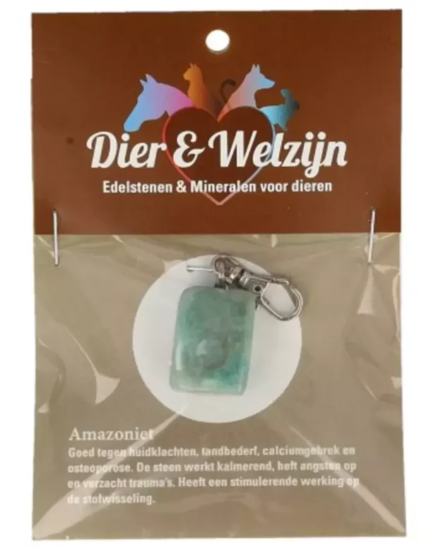 Dier & Welzijn halsband hanger Amazoniet