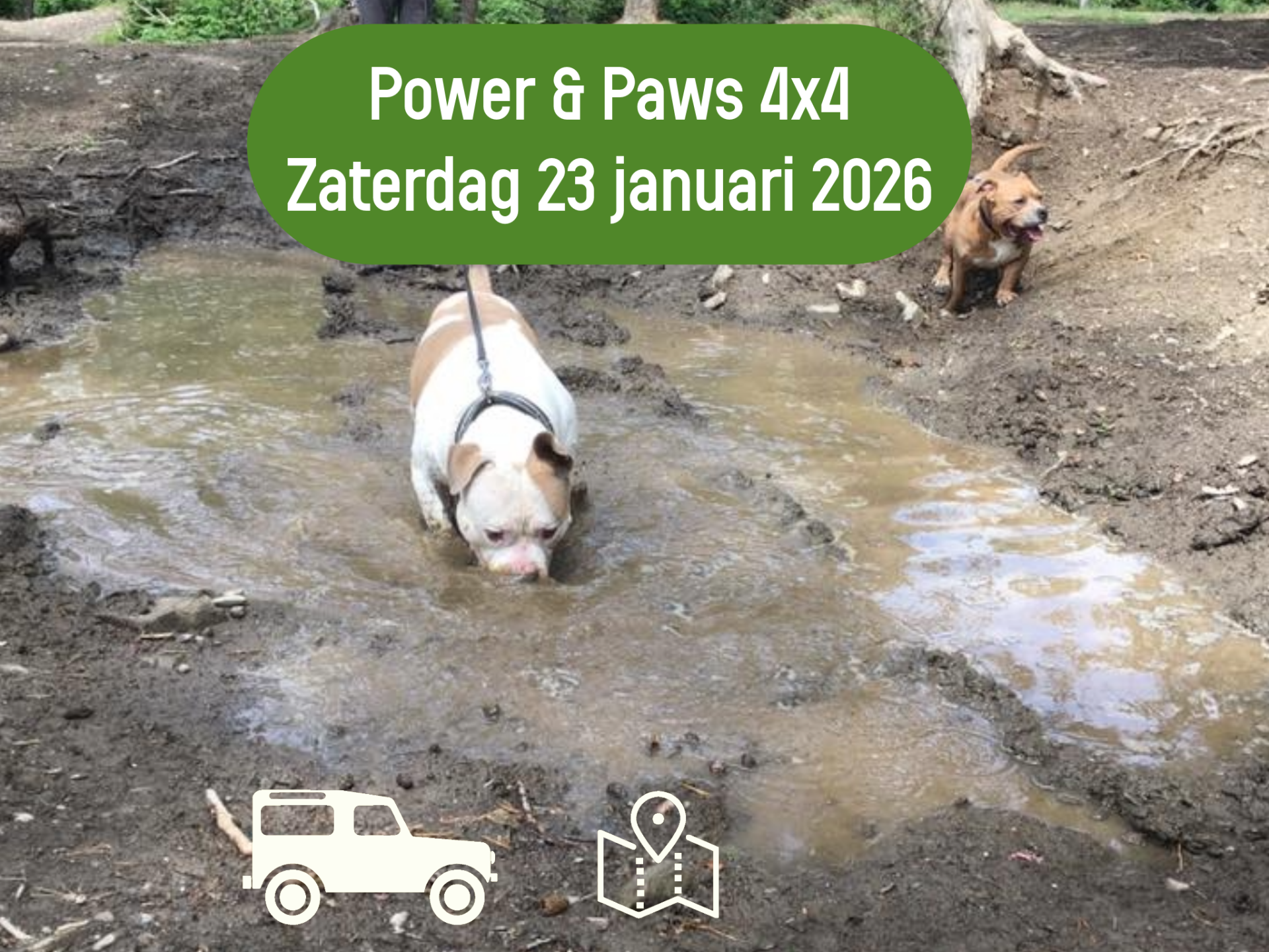 Power & Paws 4x4 Toer