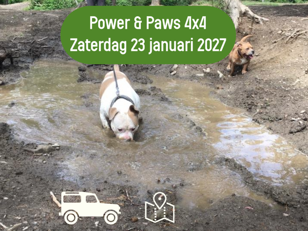 Power & Paws 4x4 Toer