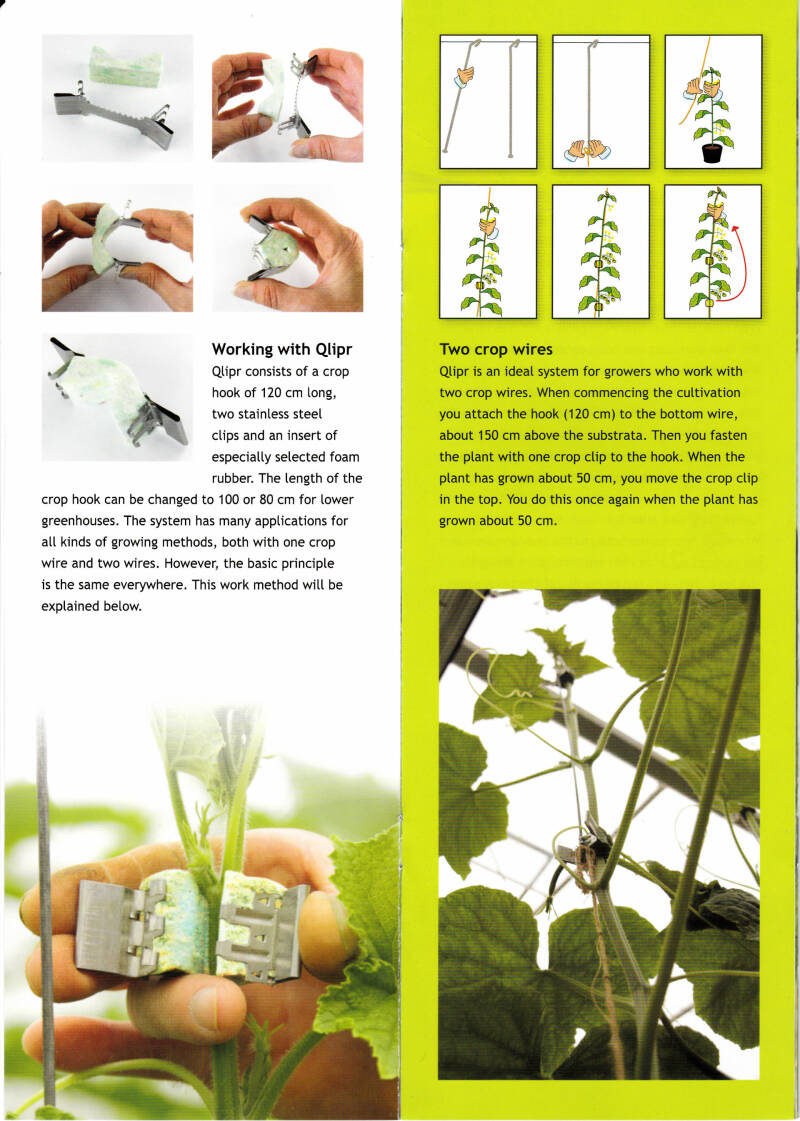 tomatotrellisclip, biodegradabletomatoclips, greenhousesolutions, hooks,tomatoes, cucumbers, peppers, greenhouses, hooks, tomatoes, cucumbers, peppers, greenhouses, cucumberclips, greenhousesolutions, greenhouseaccessories 