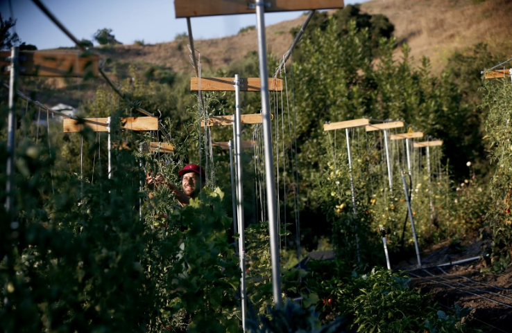 Ali Greer and Eric Tomassini