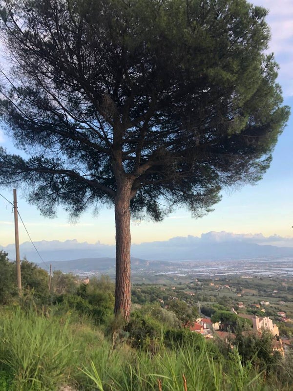 Santa tecla