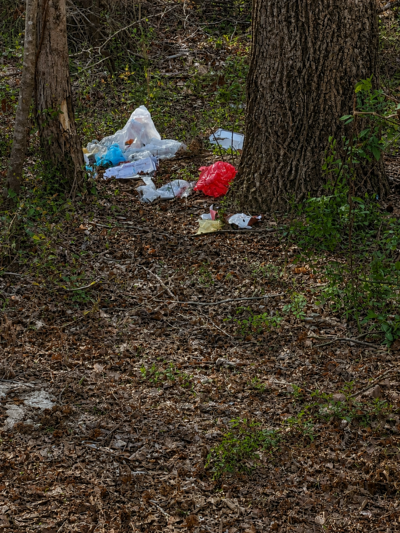     greensboro-yard-debris-removal.jpg