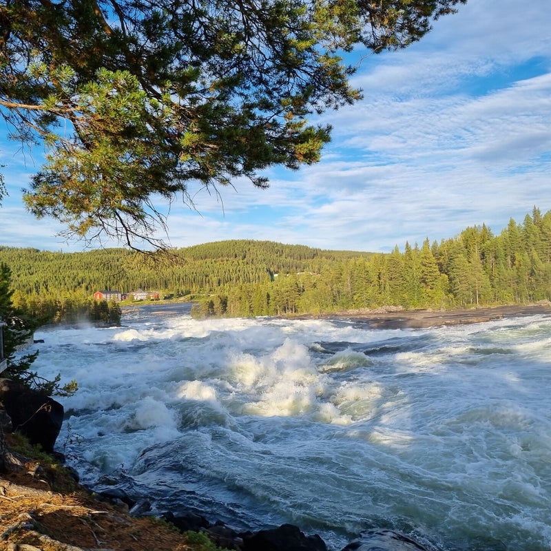 storforsen-naturreservat-1-standard.jpg