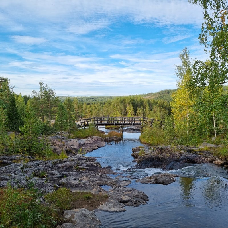 storforsen-naturreservat-2-standard.jpg