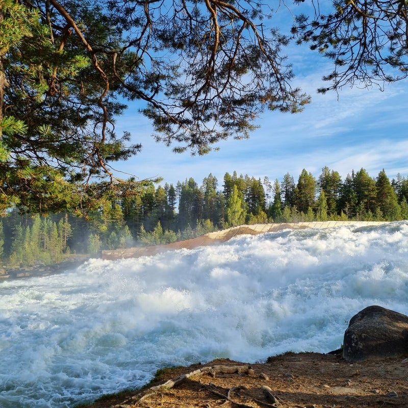 storforsen-naturreservat-4-standard.jpg