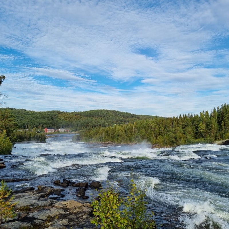 storforsen-naturreservat-7-standard.jpg
