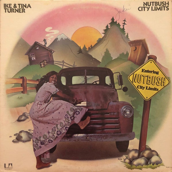 Ike & Tina Turner – Nutbush City Limits