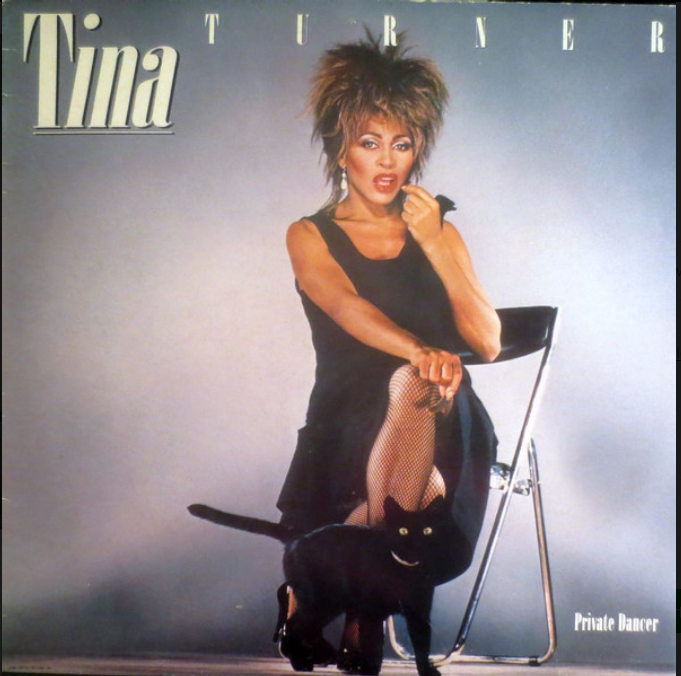 Tina Turner – Private Dancer