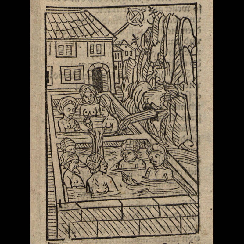Dises puchlein saget vns von allen paden die von natur heiß sein. Hans Folz 1491
