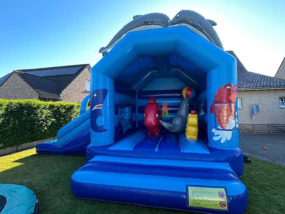 Springkasteel Dolfijn met glijbaan