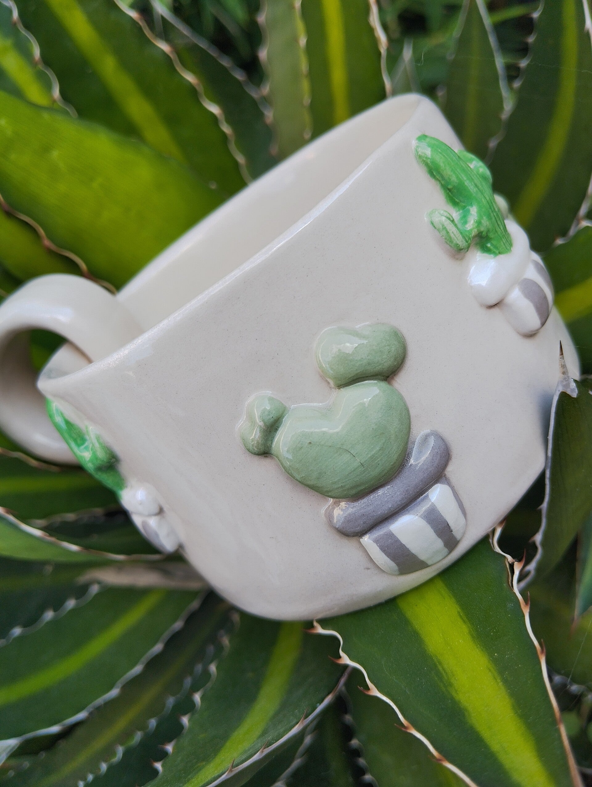 Mug cactus
