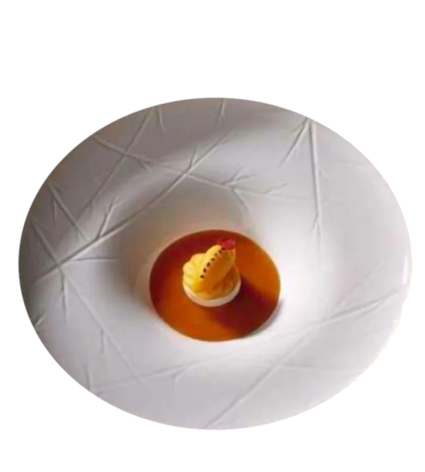 HI134887 - VISTA ALEGRE "CHEF'S COLLECTION NATURA" Piatto Fondo cm.28 interno cm.12 (4)