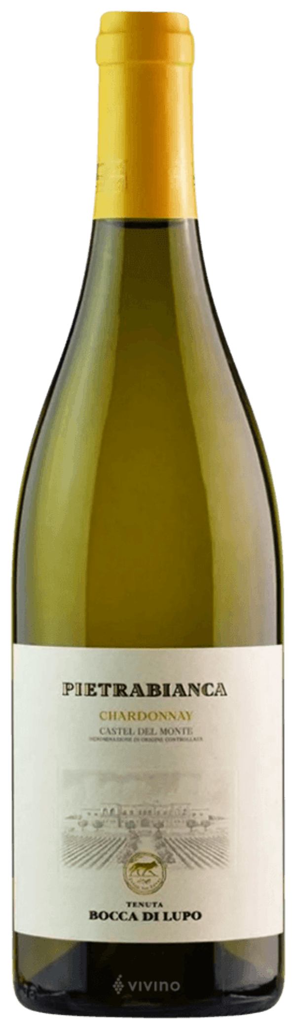 BOCCA DI LUPO - "PIETRABIANCA" Chardonnay Castel del Monte DOP 2024 37,5cl (12)