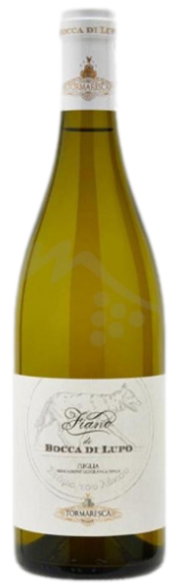 BOCCA DI LUPO - "BOCCA DI LUPO" Fiano Castel del Monte DOP 2024 75cl in cassa di legno (6)