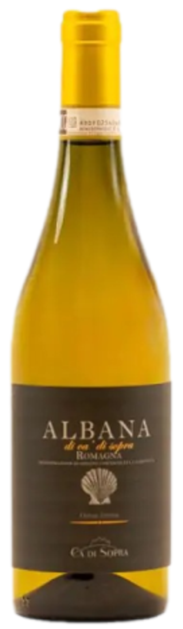 CA' DI SOPRA Albana Romagna DOCG Secco 2024 75cl (6)