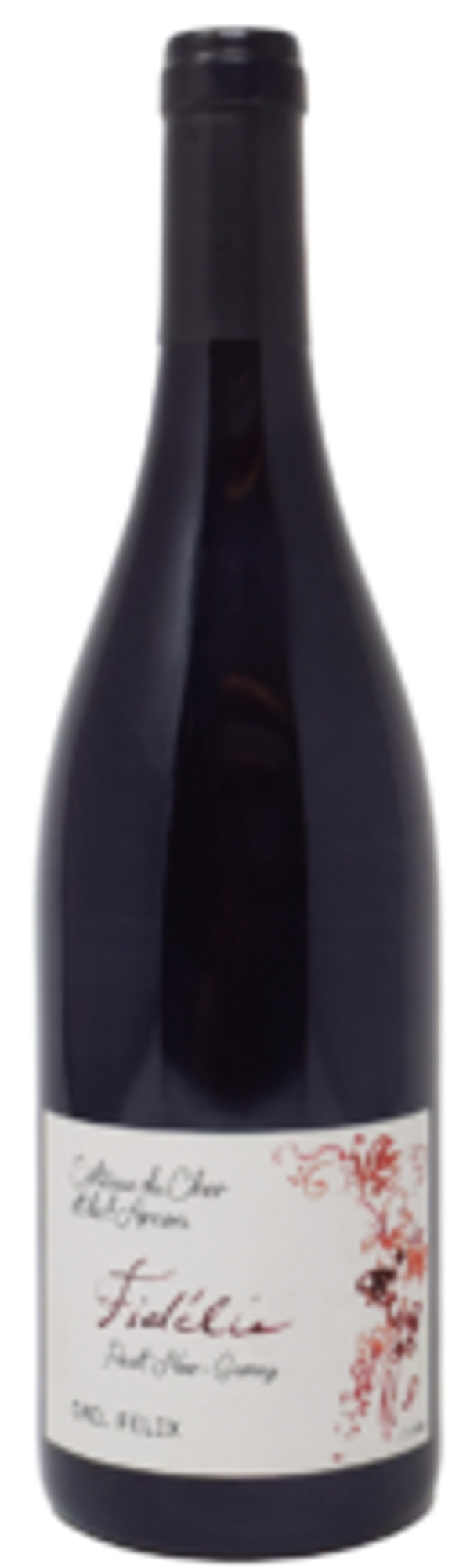 DOMAINE GAEL FELIX - "FIDELIE" Coteaux du Cher et de l'Arnon Rouge IGP 2023 75cl (6) - Cod. ETIC/GFFI23