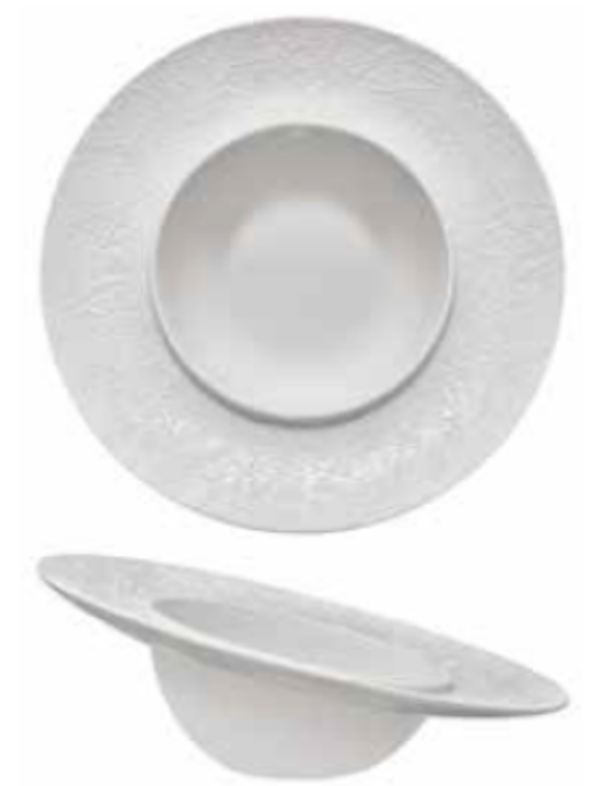 PIATTO FONDO - ESSENTIA "DAMASCO" Inclinato cm.25,5 / interno cm.14 (4) Cod. HI035998