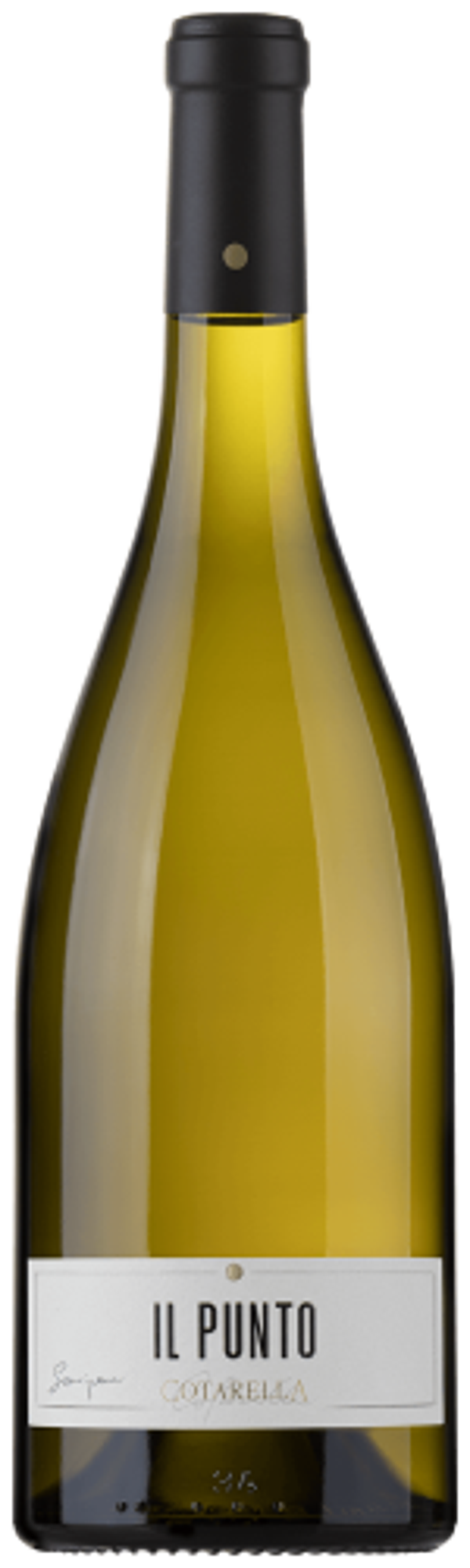 FAMIGLIA COTARELLA - "IL PUNTO" Sauvignon Lazio IGP 2023 Magnum in cassa di legno (1)