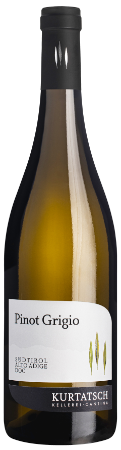 KURTATSCH - Pinot Grigio Alto Adige DOP 2025 75cl (6)