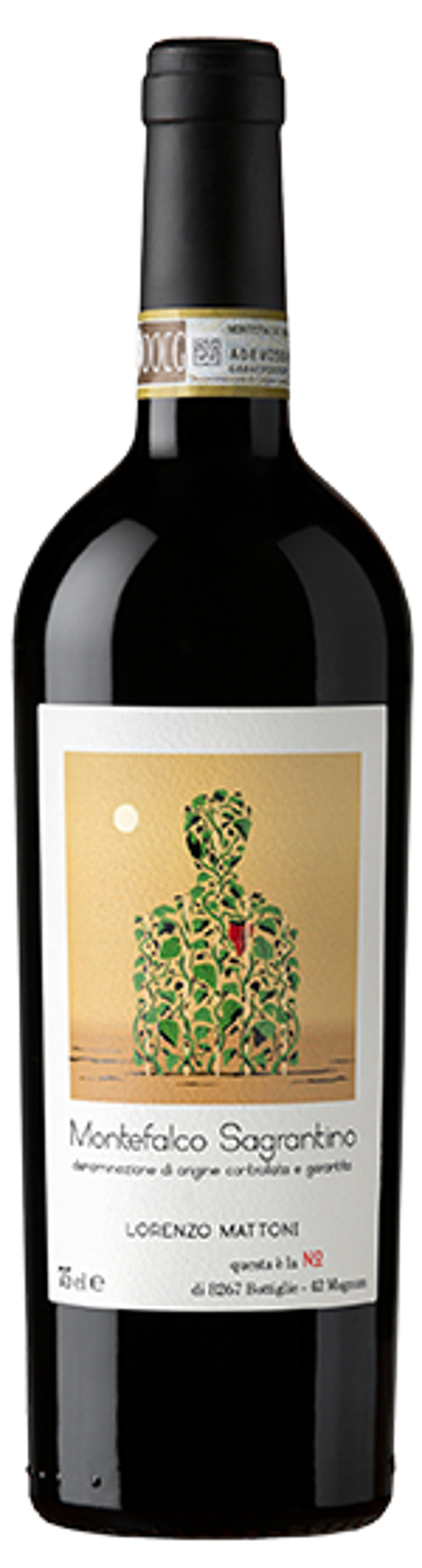 MATTONI - Sagrantino di Montefalco DOCG 2019 75cl (6) - Cod. ETIC/MTSA19