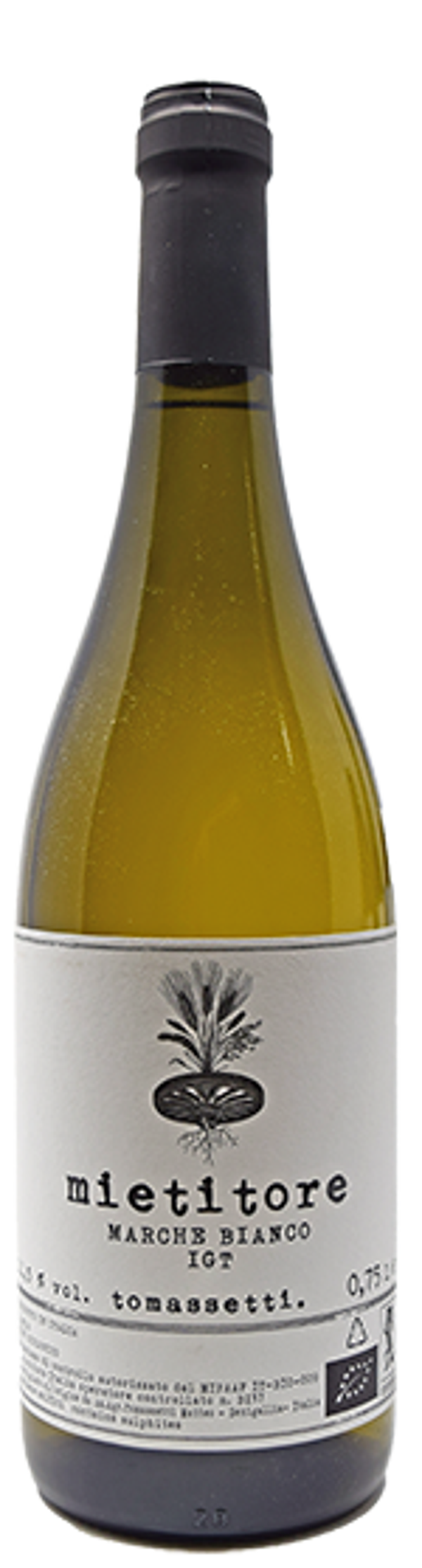 TOMASSETTI "MIETITORE" Trebbiano Marche IGP 2023 75cl (12) Cod. ETIC/TOMI23