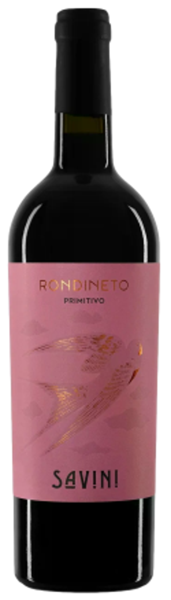 SAVINI - "RONDINETO" Primitivo Terre d'Abruzzo IGT 2024 75cl (6)