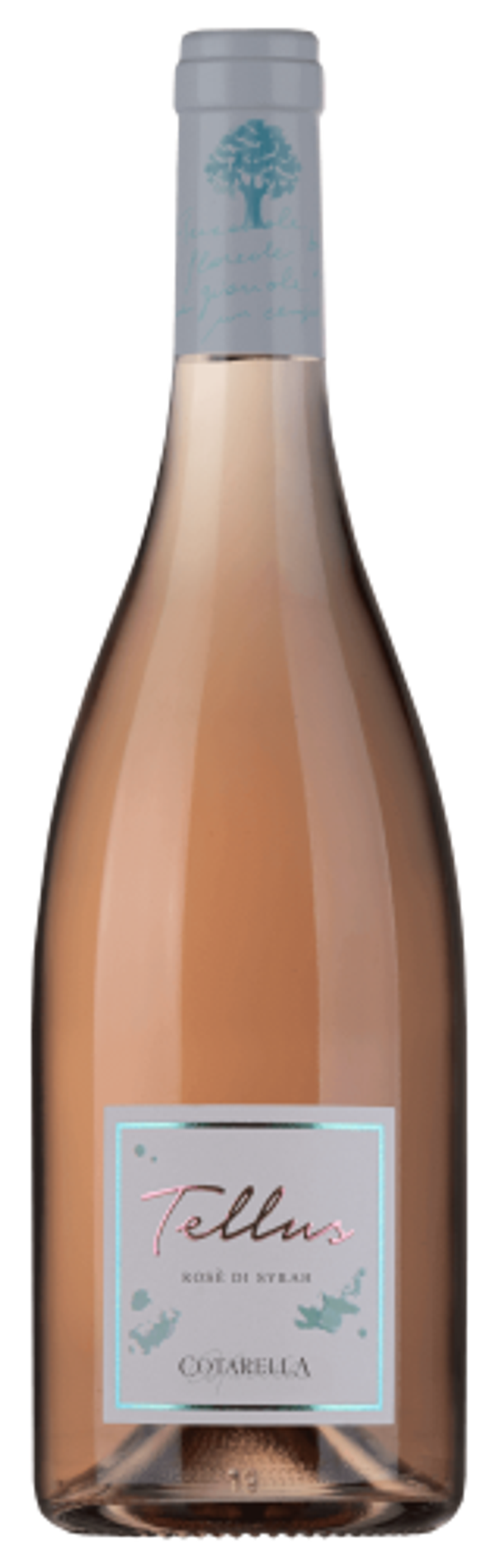 FAMIGLIA COTARELLA - "TELLUS ROSE' DI SYRAH" Rosato Lazio IGP 2025 75cl (6)