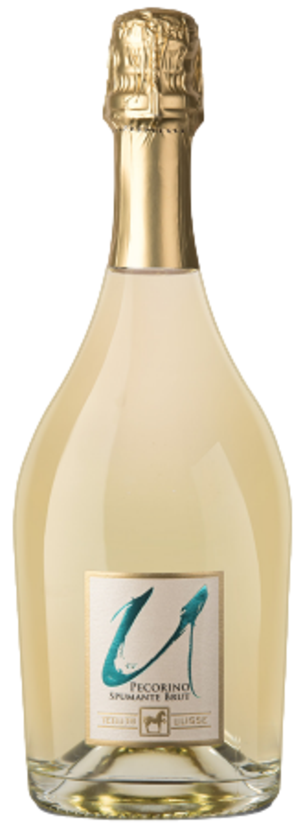 TENUTA ULISSE - "ULISSE" Spumante Brut di Pecorino 2025 75cl (6)