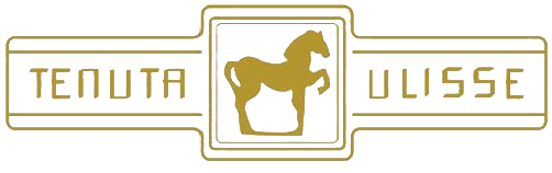 Abruzzo - TENUTA ULISSE