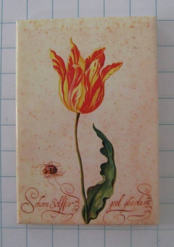 Koelkastmagneet tulp 16005