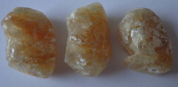 Capiz steen kraal 20 - 30 mm kr90232 C