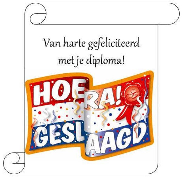 Sleutelhanger met diploma, wolk, uil of finish vlaggen 14010