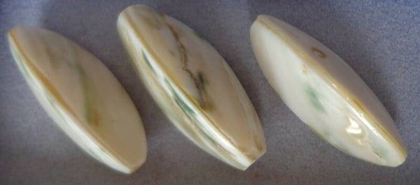 Troca schelp Driehoekige kraal kn90267 k5