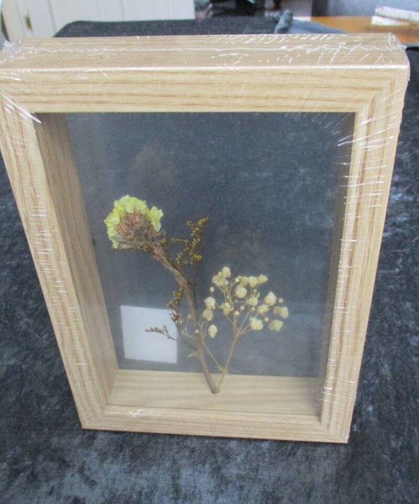 Strobloem in houten lijst met plexiglas 70110