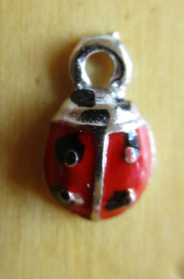 Zilverkleurig lieveheersbeestje 9x5 mm 91164 k11