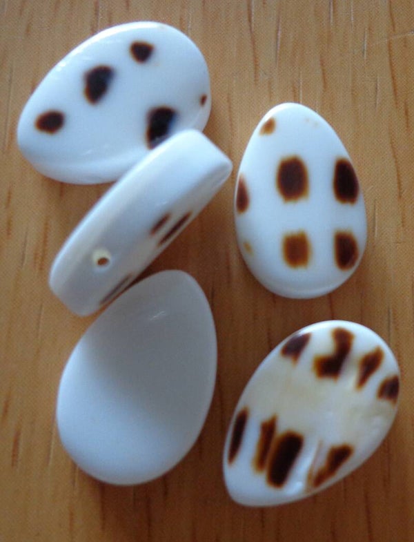 Schelpkralen witbruine druppel kraal 12 x 8mm kn90219 k10