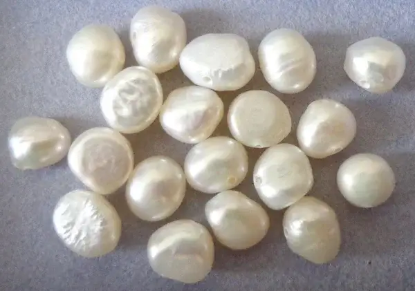 Kleine ivoorkleurige zoetwaterparels 3 - 4 mm 90024 K3a