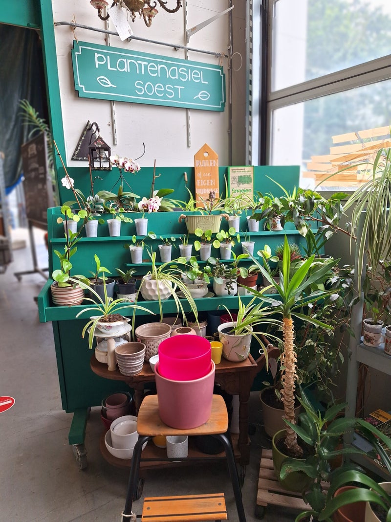 Plantenasiel Bikkels store