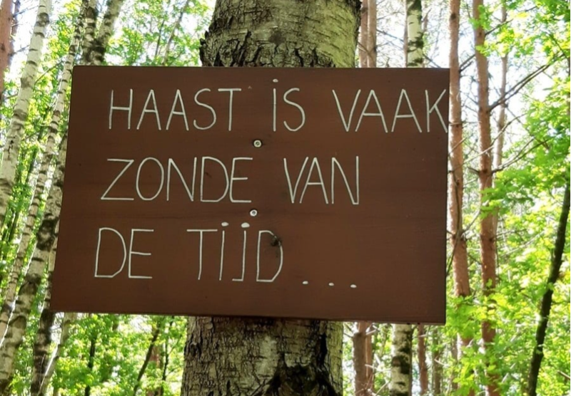 Haast is vaak zonde van de tijd: Waarom vertragen belangrijk is